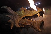 1.GVB Further Drachen