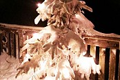 1.GVB Berggasthof Schnblick Weihnachtsfeier